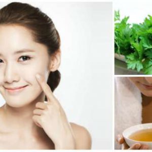 1435394008-rua-mat-nuoc-ngai-cuu_1